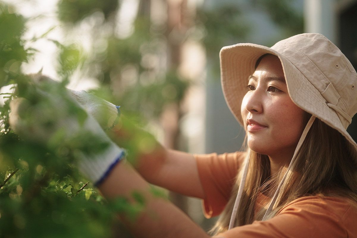 A woman wearing a hat and gloves is pruning a tree.