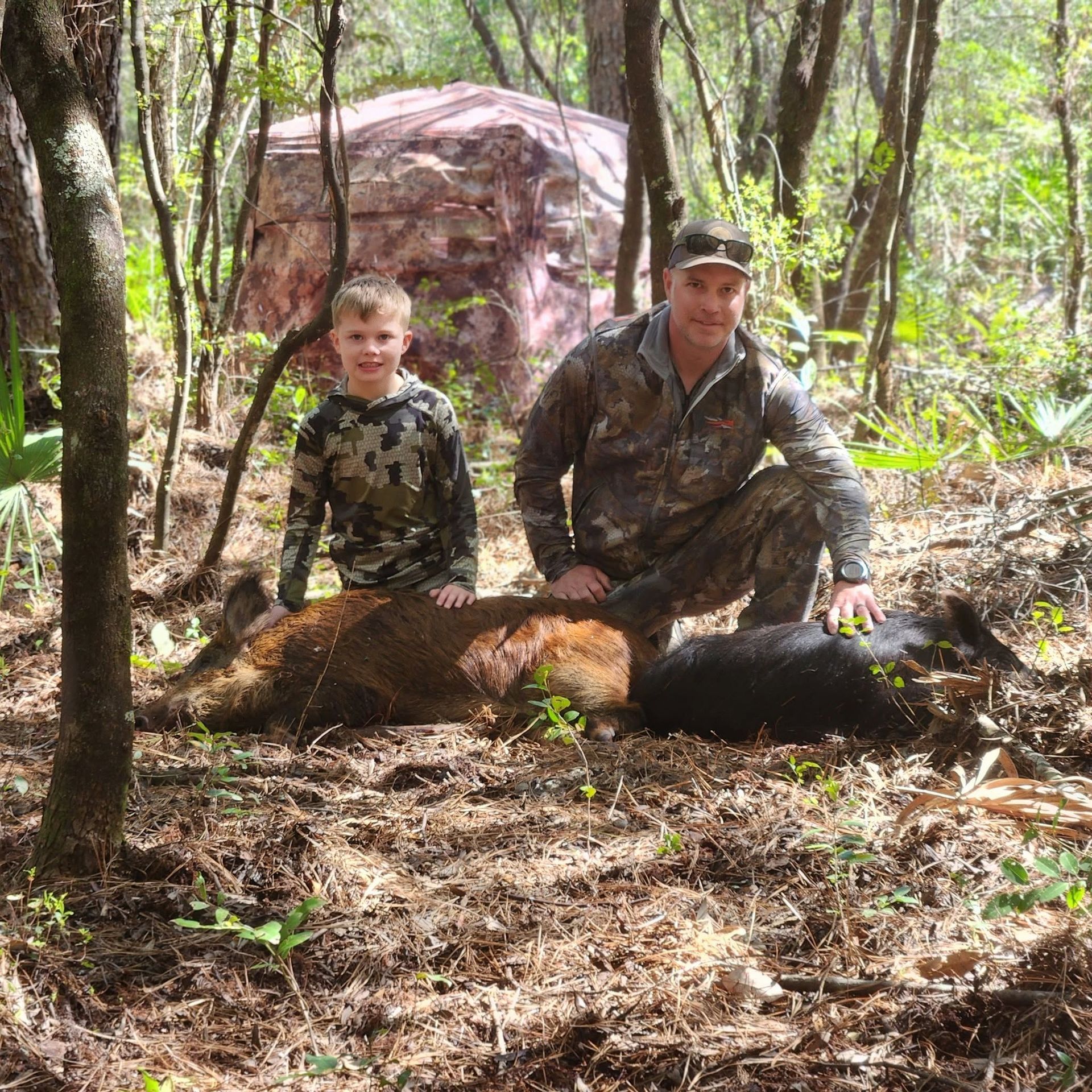 Two hunters kneel beside a large deer in a wooded area, with a camouflaged blind behind them.