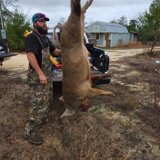 Man standing beside a hanging deer in a muddy yard near a truck and house