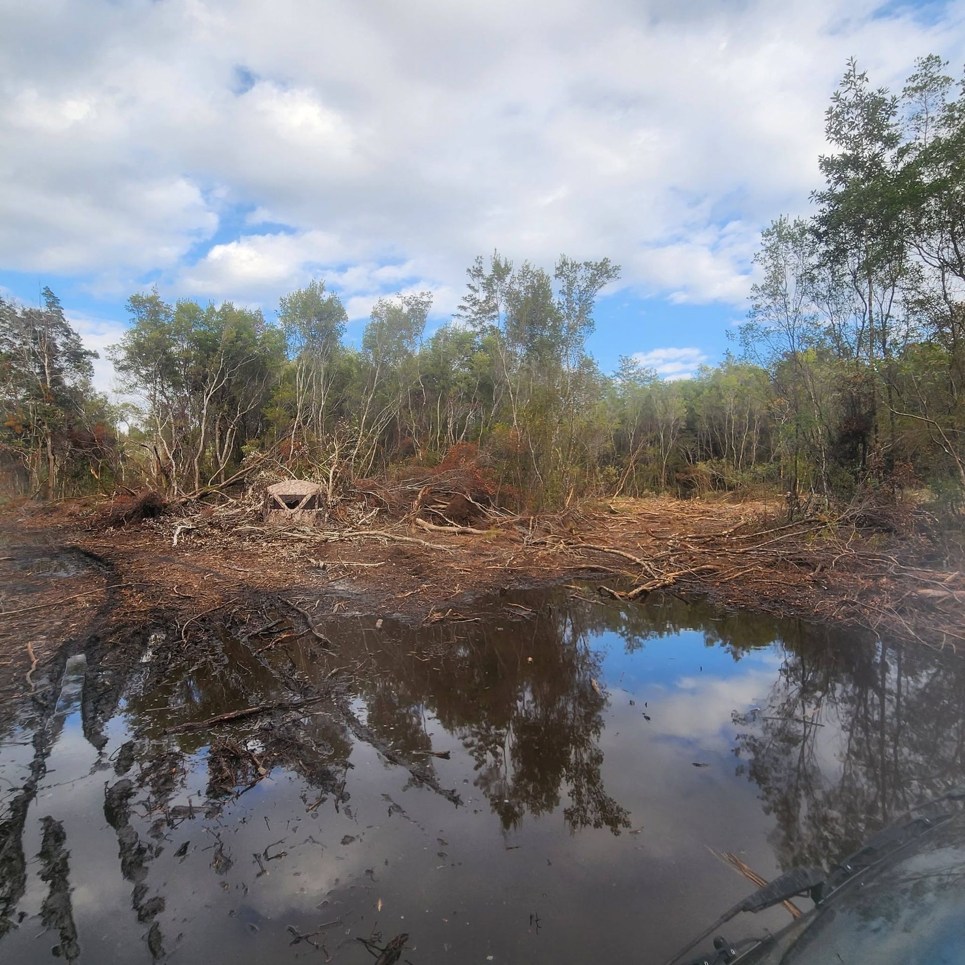Shallow wetland with muddy water reflecting cloudy sky and sparse trees along the shore