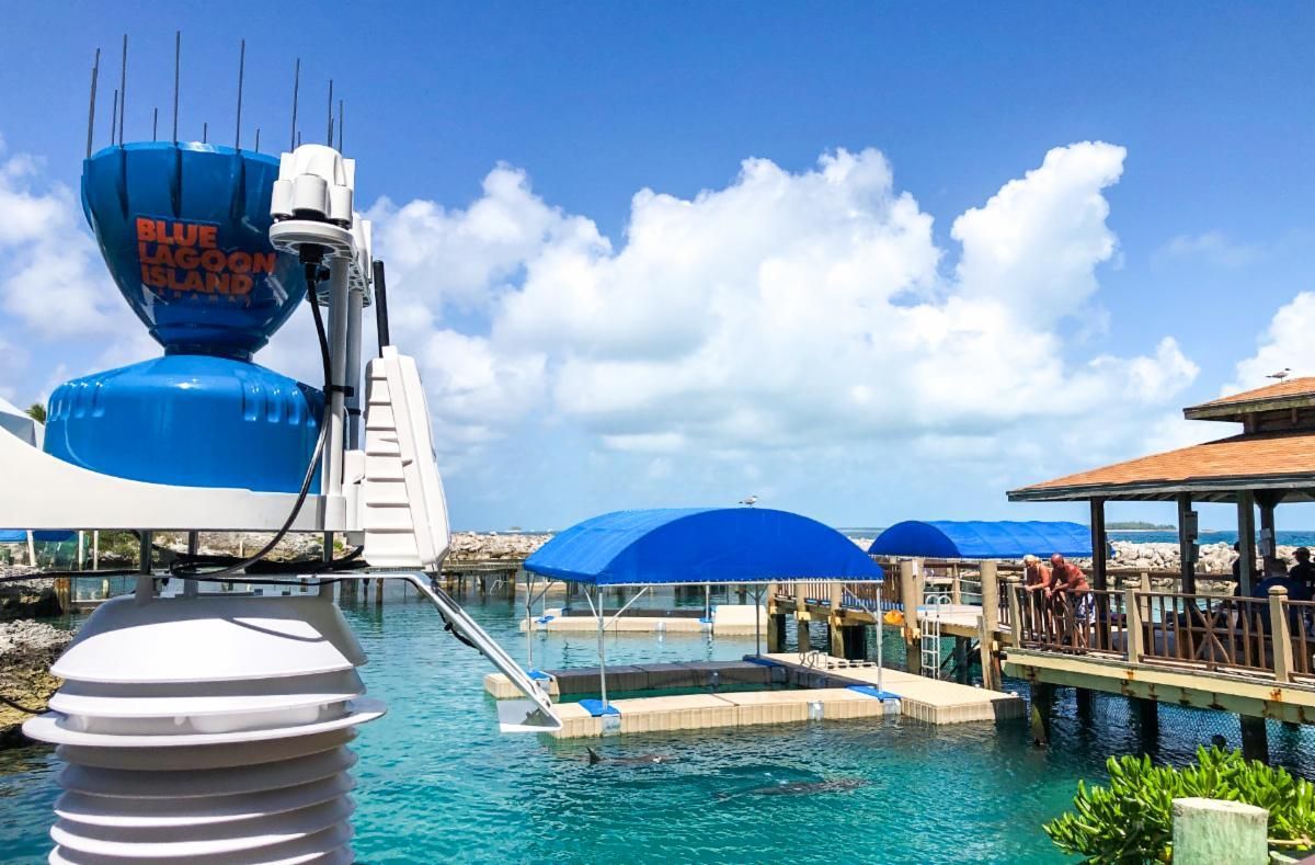 A blue water slide with a blue umbrella nearby.