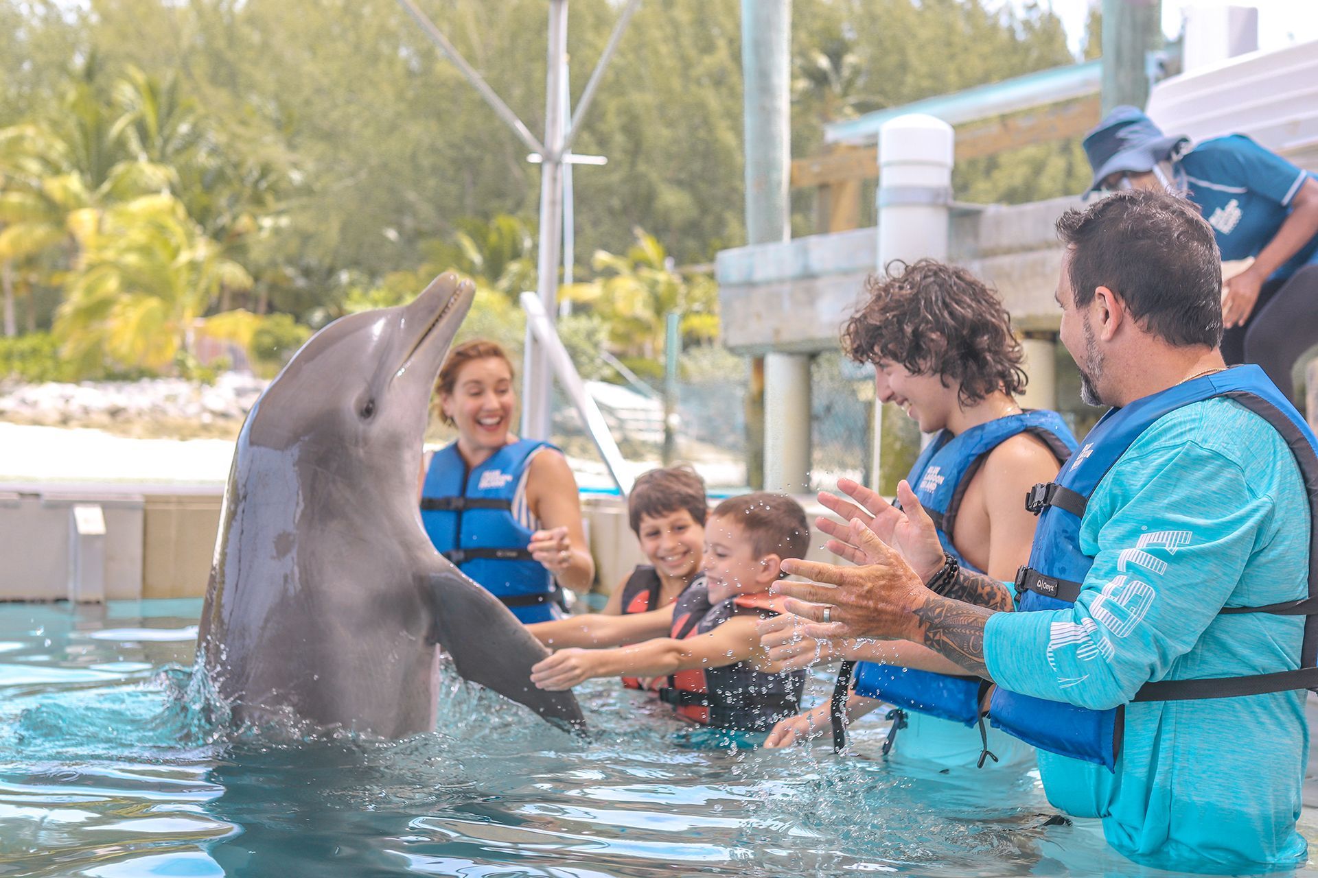 People interact with a dolphin in a pool. The dolphin raises a flipper, while people in life vests smile and clap.