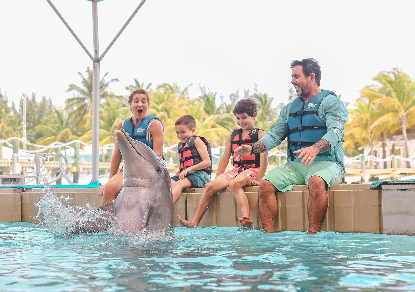 Blue Lagoon Island - Dolphin Encounter