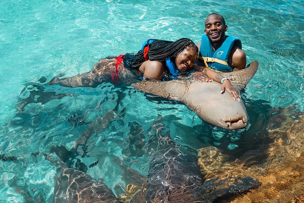 Shark Encounter