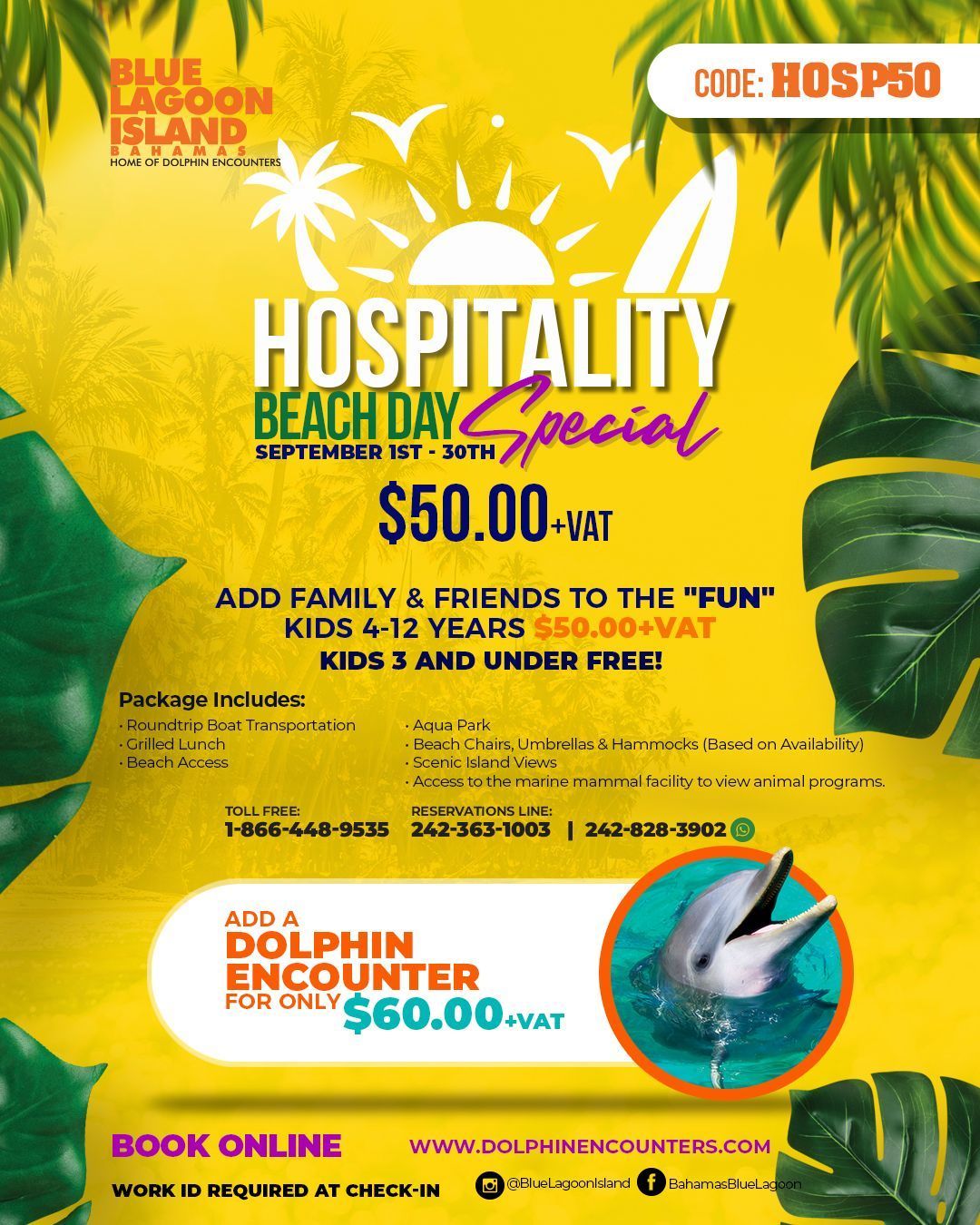 Ad for hospitality beach day with dolphin encounter, $50, and booking details