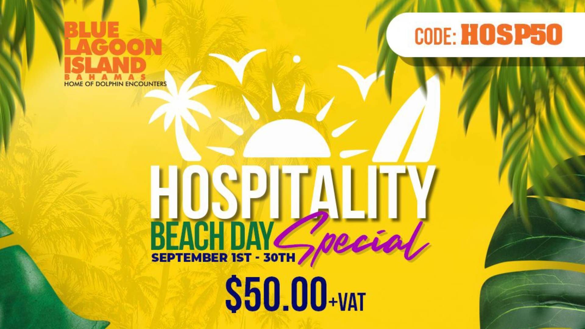 Ad for hospitality beach day with dolphin encounter, $50, and booking details