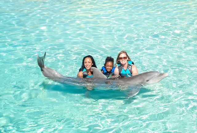Royal Dolphin Swim