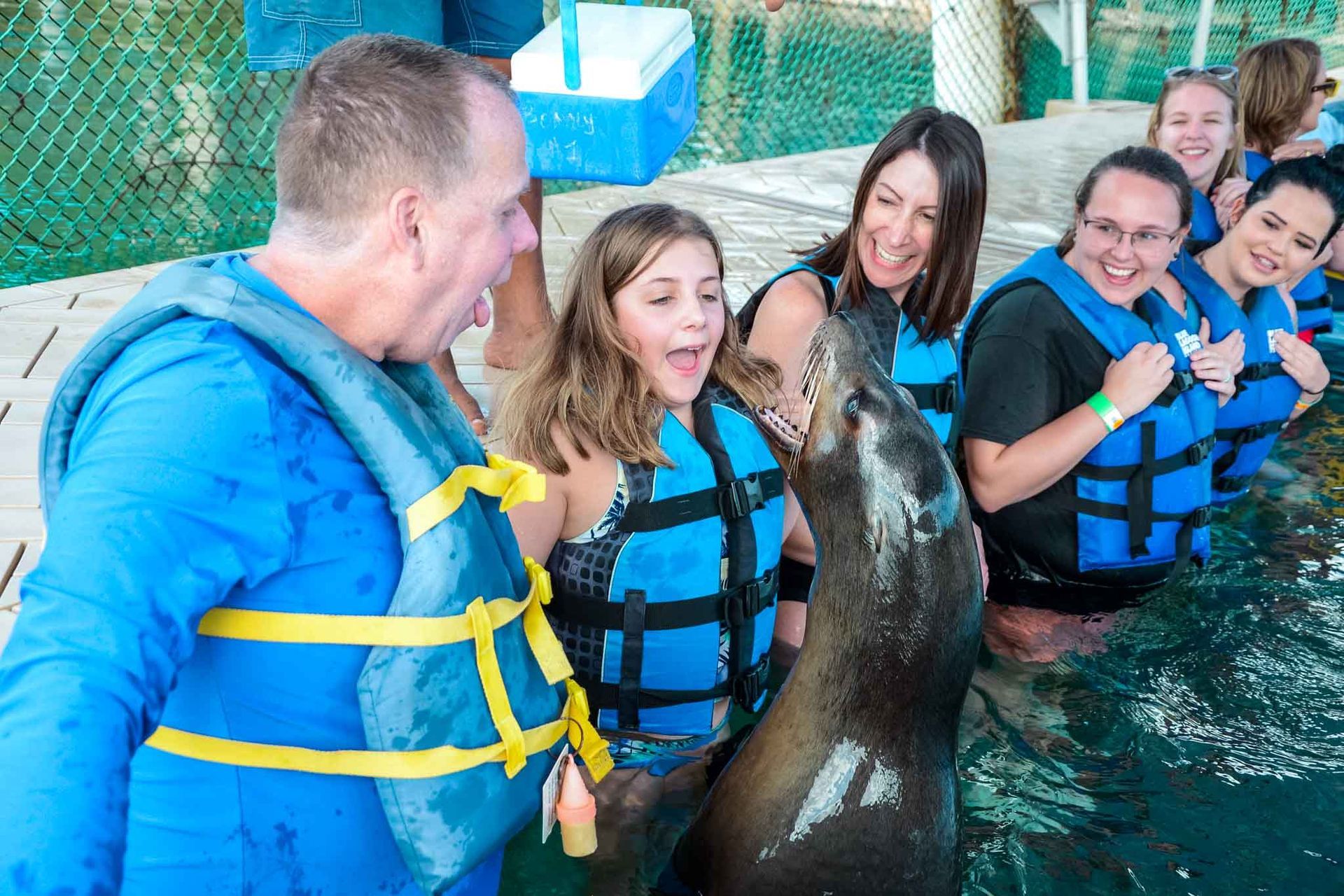Sea lion encounter