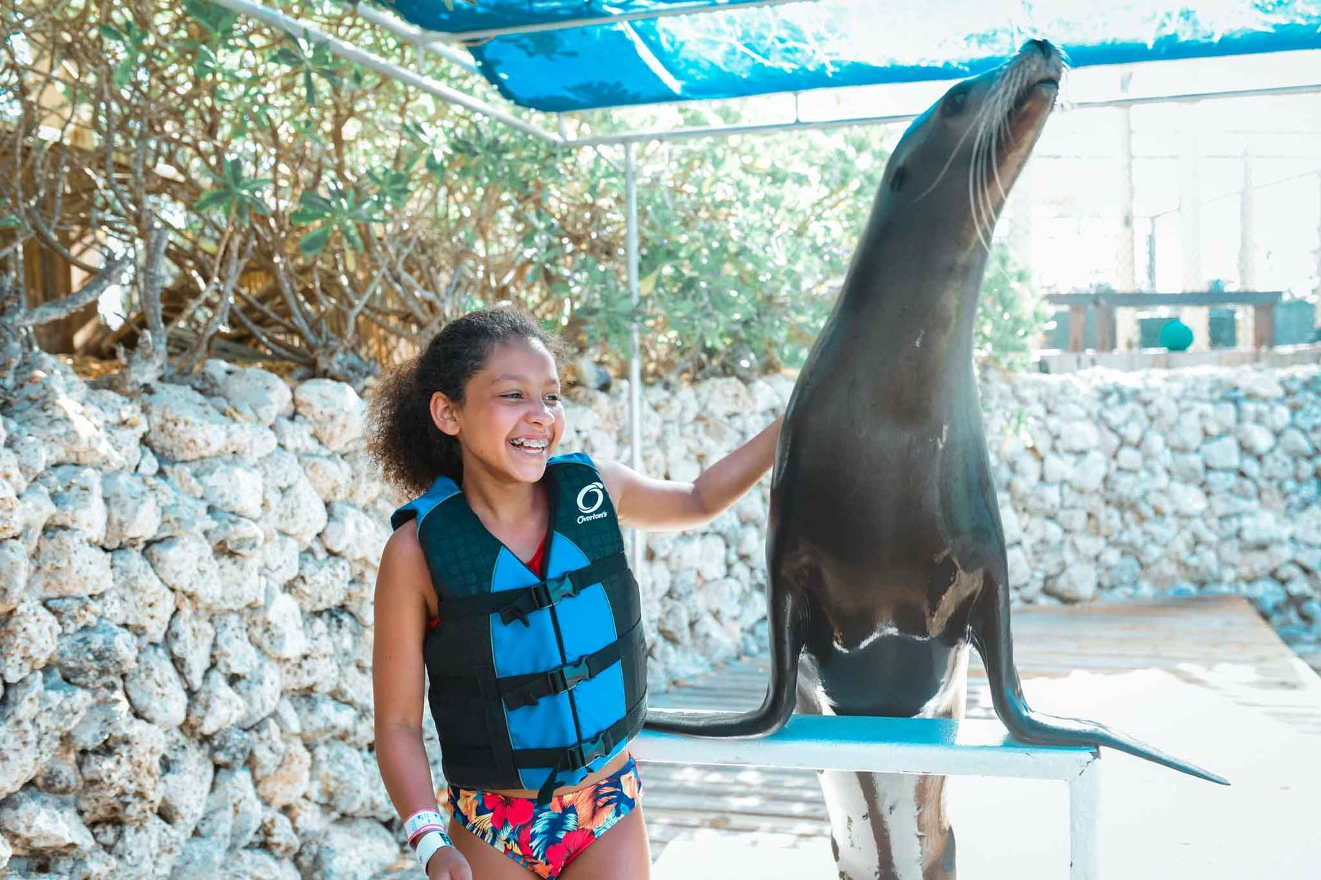 Sea Lion Encounter
