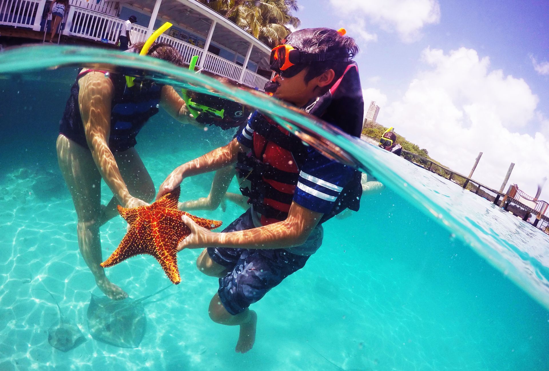 Guests snorkeling with gentle nurse sharks at Blue Lagoon Island near Nassau