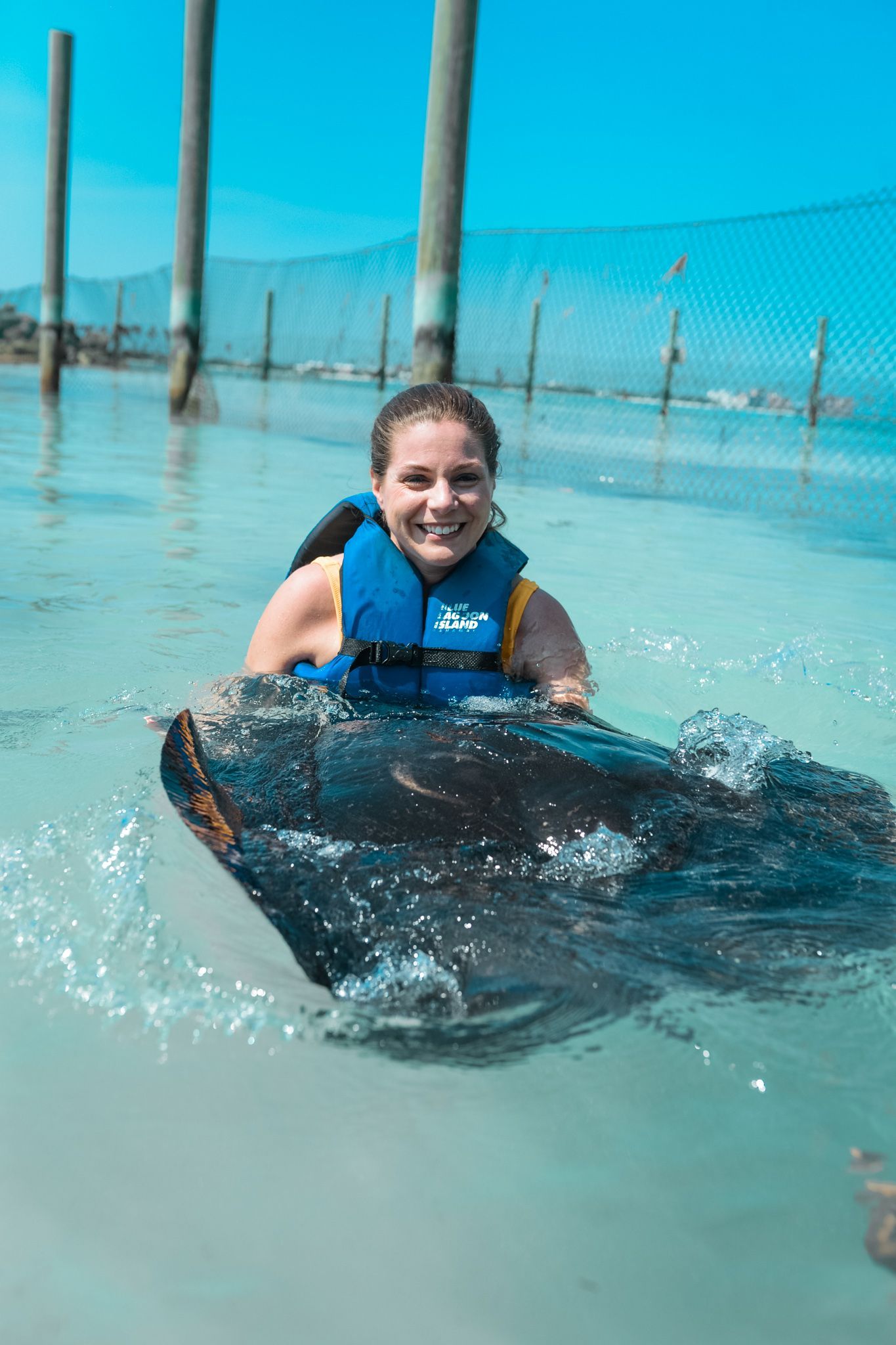 stringray encounter