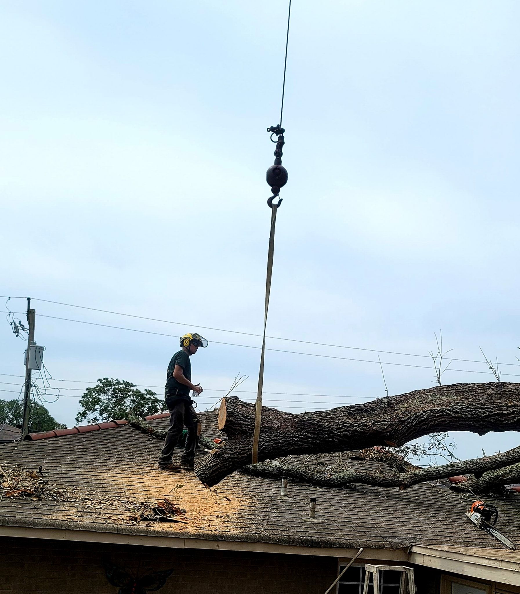 A worker in safety gear stands on a roof, securing a large tree limb to a crane hook for removal.