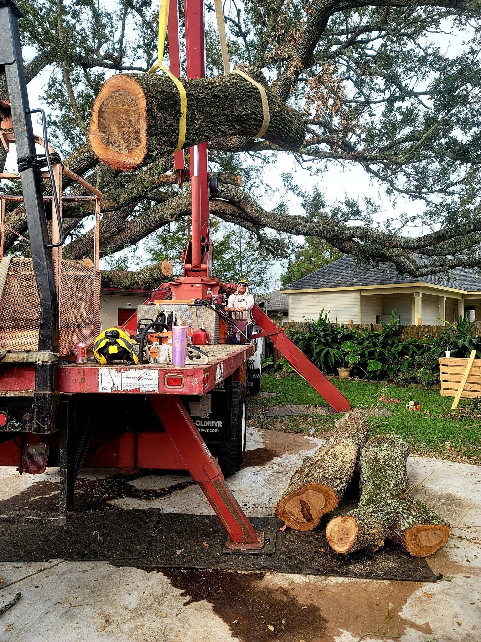 A crane lifts a large, moss-covered tree limb as others rest on the ground beside a red service truck in a yard.