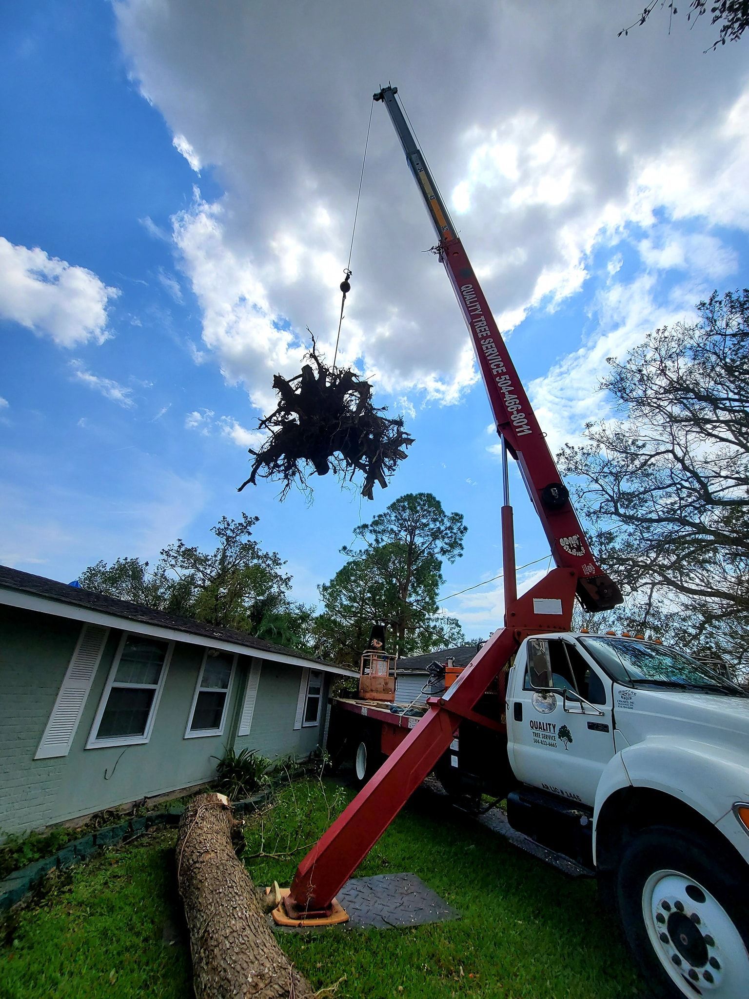 A red crane lifts a large tree top over a house roof while clearing debris in a residential yard.