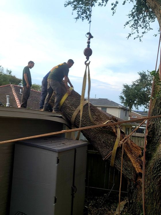 Two workers use a crane to lift a large fallen tree trunk off the roof of a house.