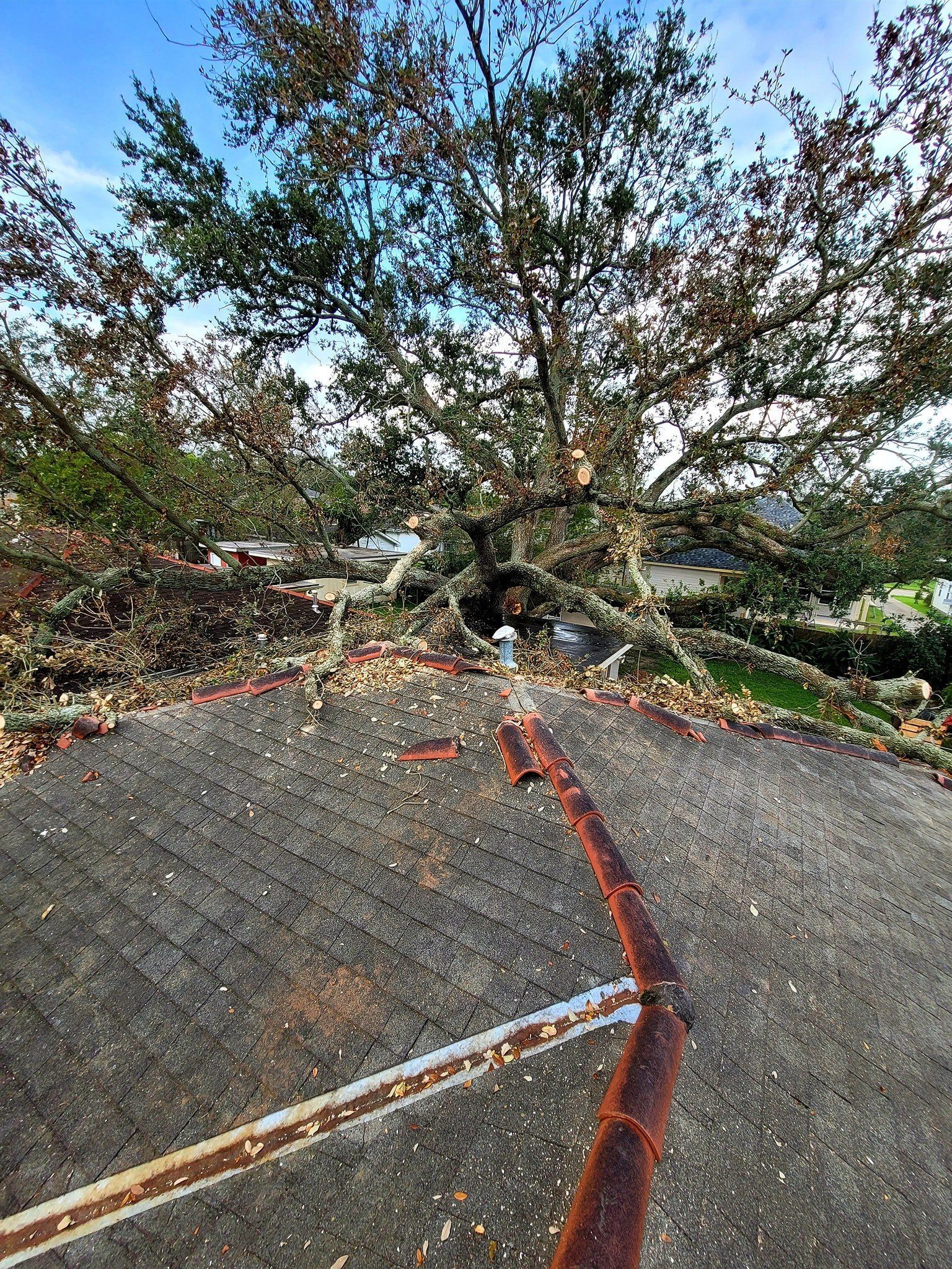 A large tree has fallen across the roof of a house, causing structural damage.