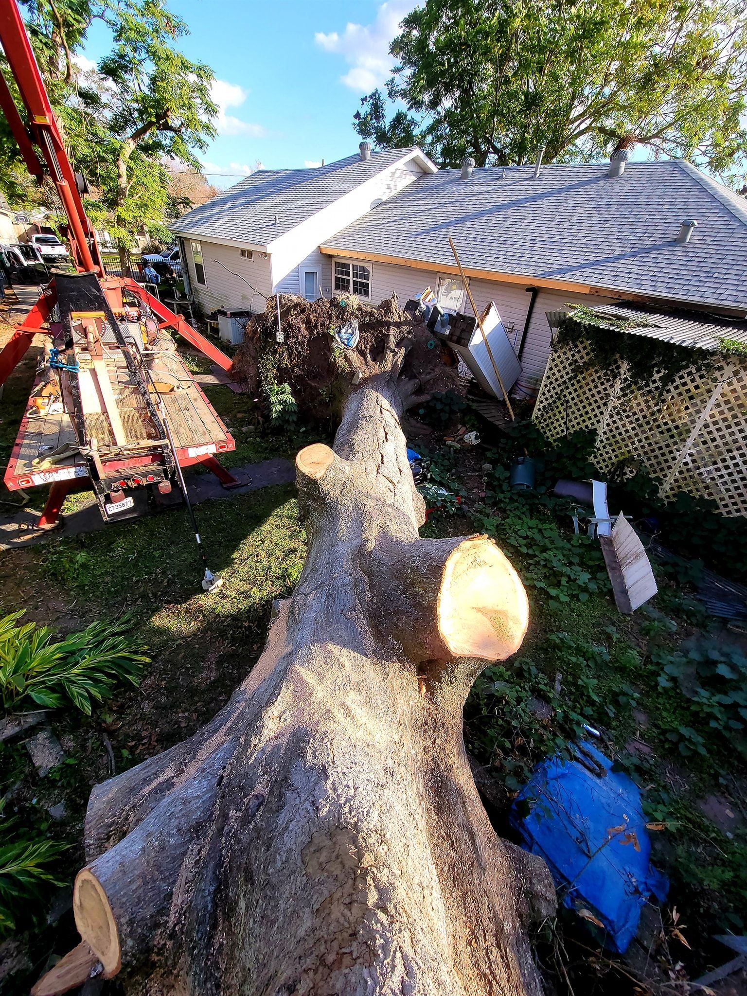 A high-angle view looking down at a large tree trunk section after being cut, with a house and boom lift in the background.
