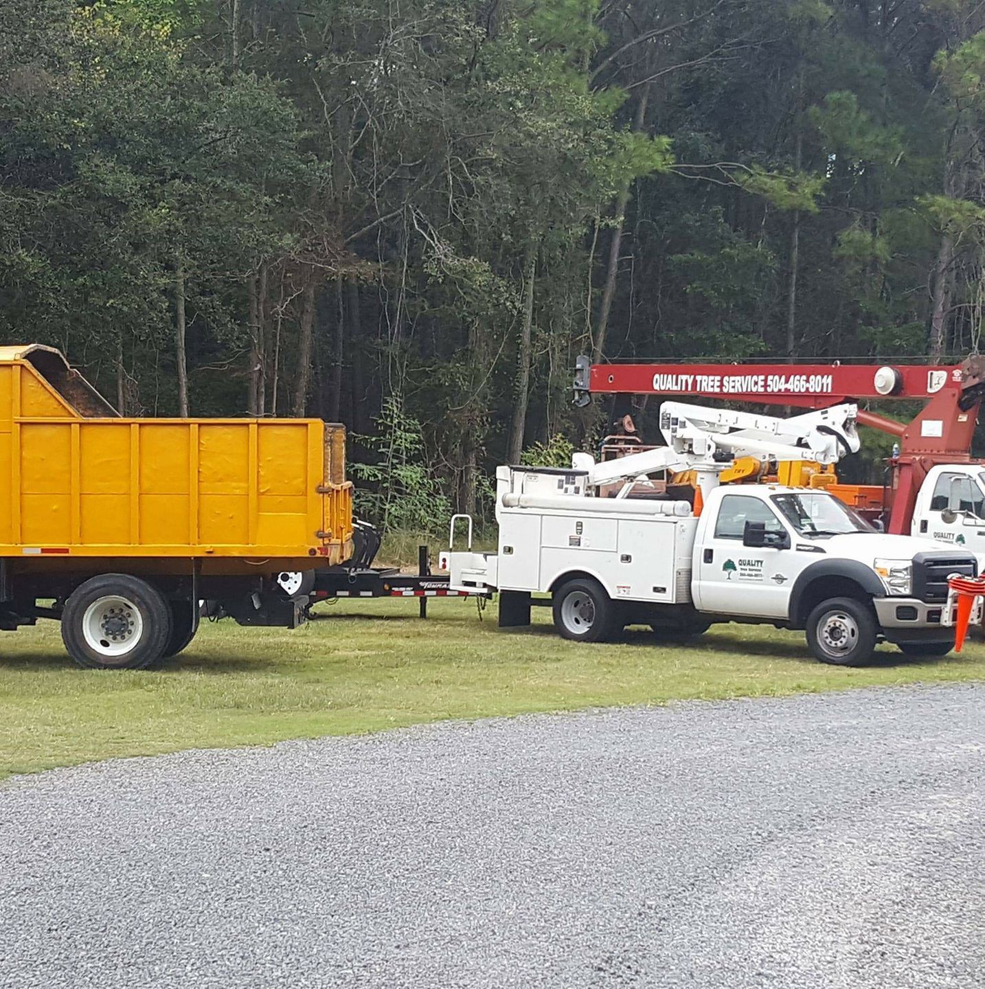 A yellow dump truck and a white utility bucket truck with red boom equipment parked in a grassy area near a forest.