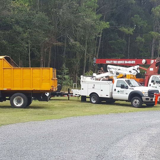 A yellow dump truck parked next to a white bucket truck with a red boom lift, set against a wooded backdrop.