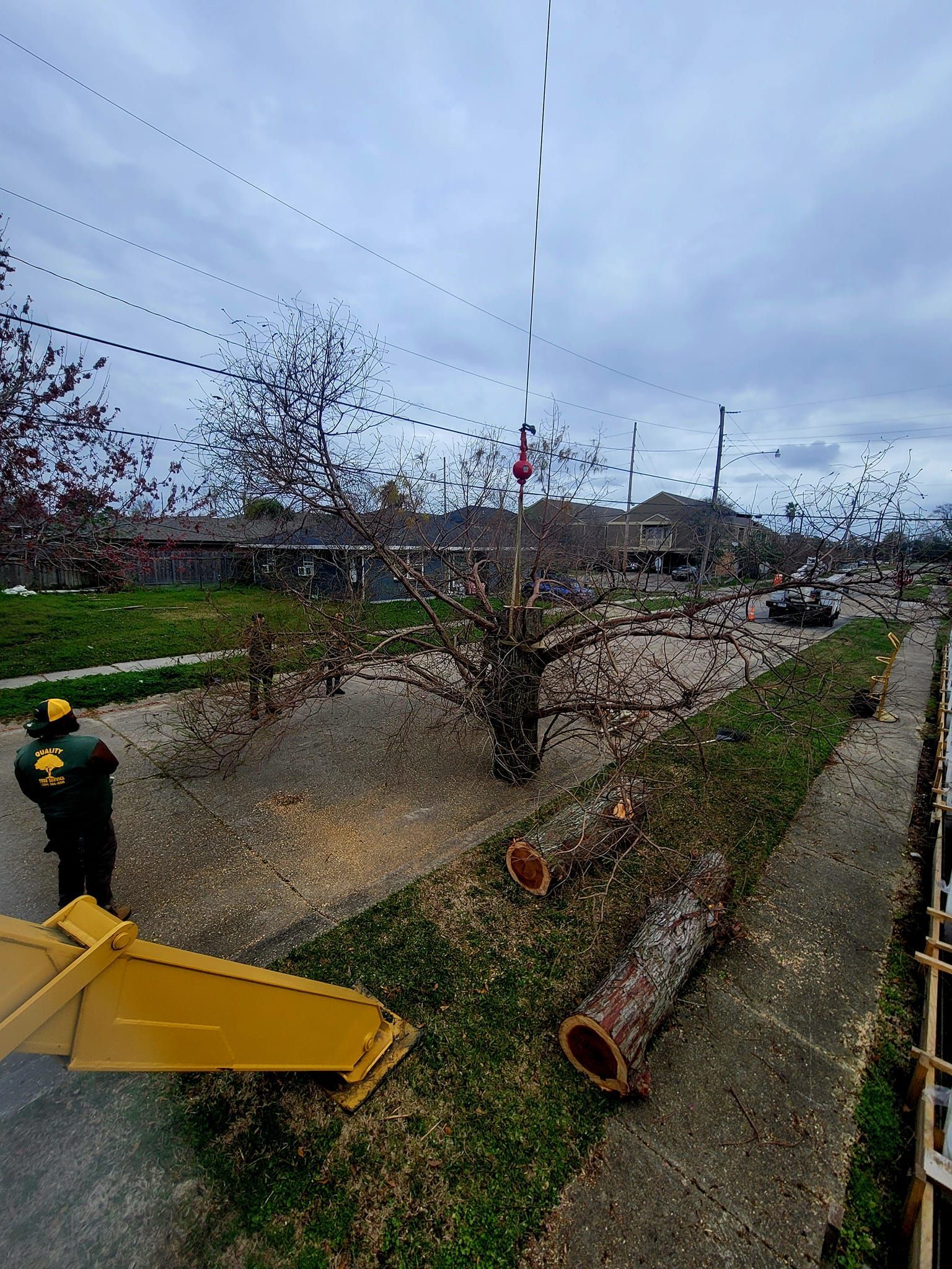 A worker in safety gear stands near cut logs and a yellow crane arm in a park with sparse trees under a cloudy sky.
