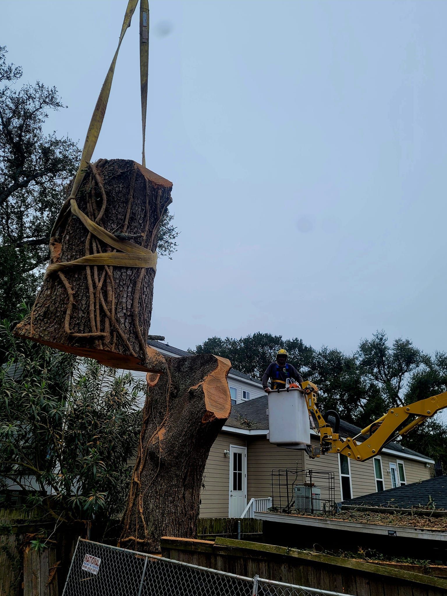 A worker in a bucket truck crane lifts a large, cut tree trunk section above a house in a residential neighborhood.