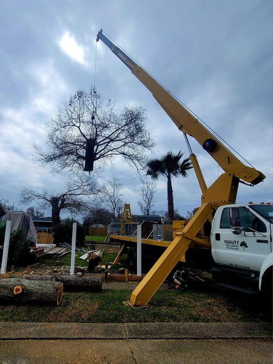 A yellow crane lifts a large tree section into the air against a cloudy sky above a residential yard.