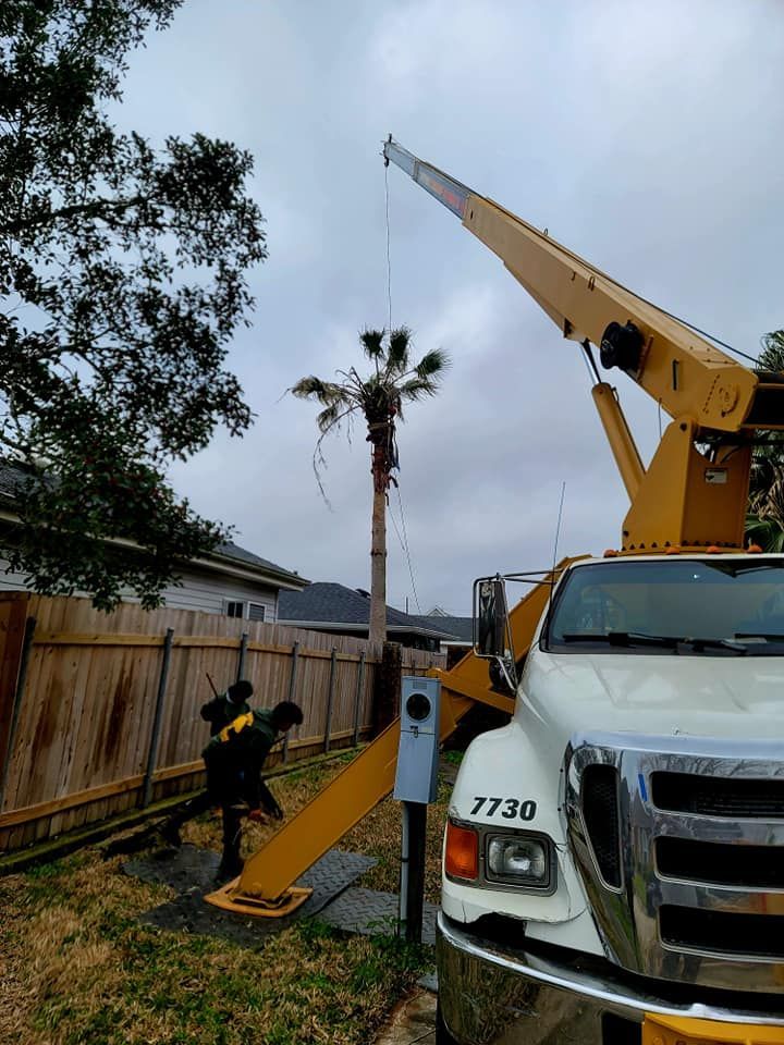 A worker in a yellow safety vest helps guide a crane truck lifting a palm tree near a wooden fence.