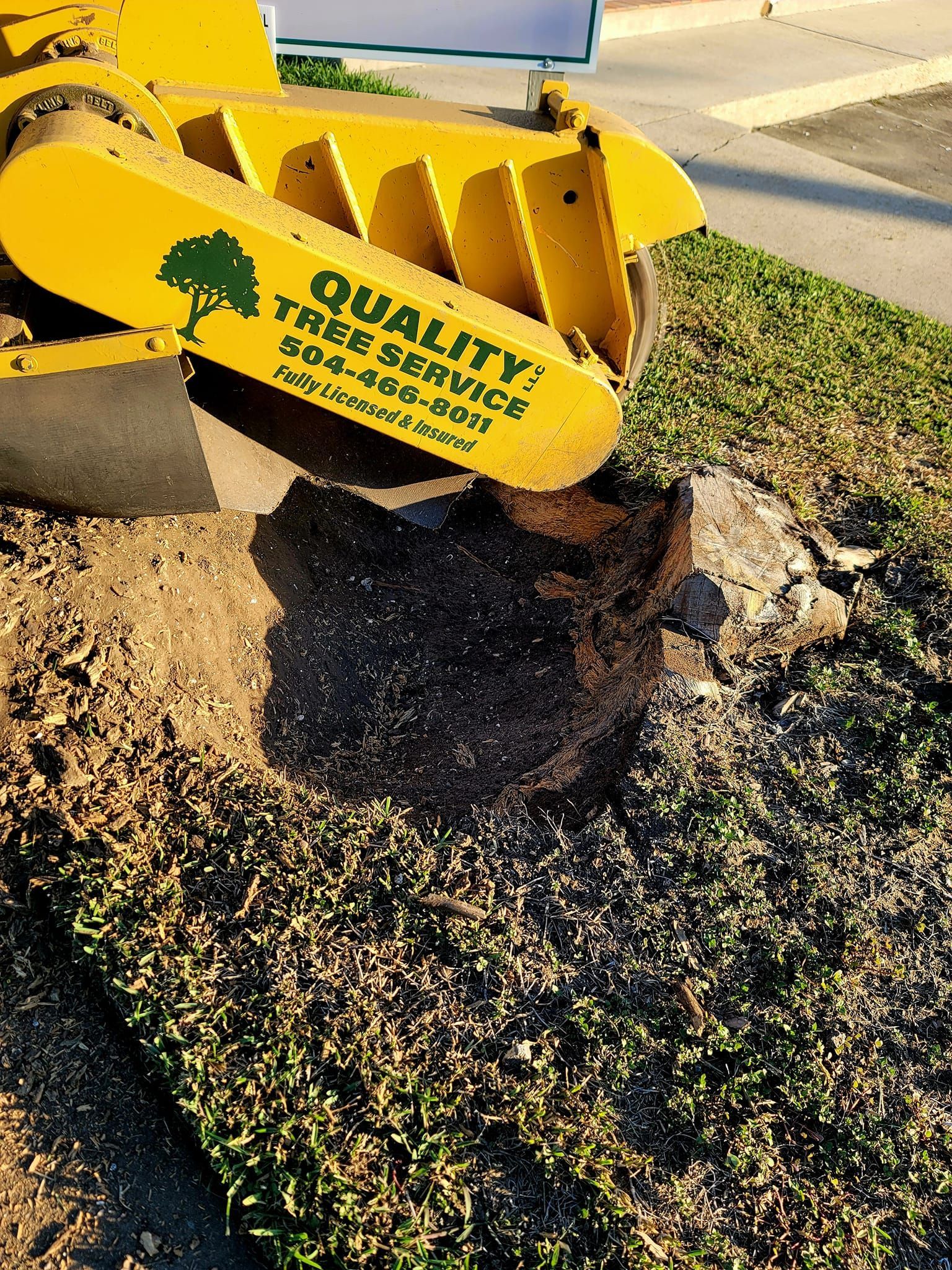 A yellow stump grinder machine cutting into a tree stump in a grassy yard.