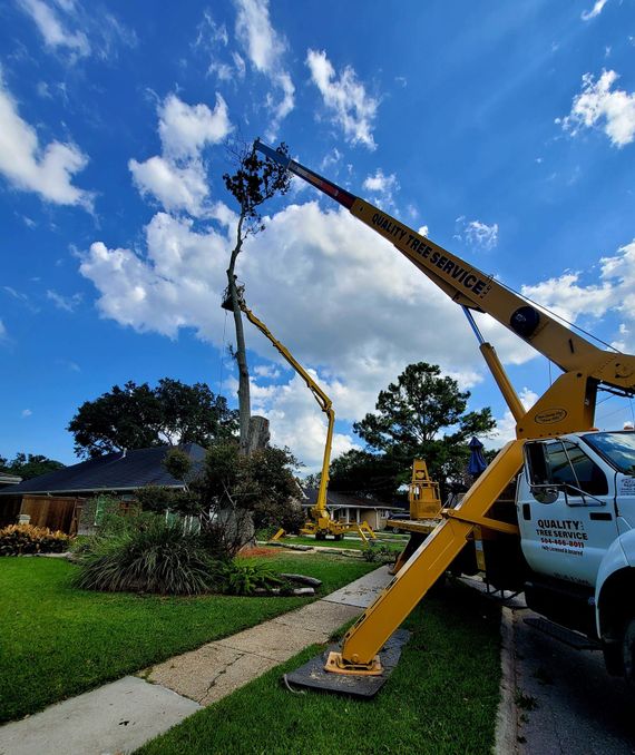 Yellow crane truck lifting tree branches against a sunny blue sky with clouds.
