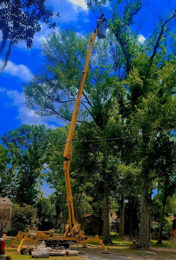 A yellow hydraulic boom lift extended high into the canopy of large green trees against a bright blue sky.