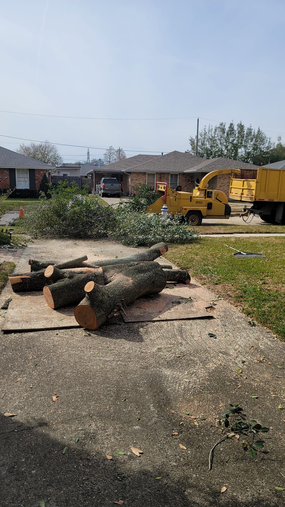 Large cut tree logs lie on a driveway in front of a residential home with a yellow wood chipper and truck parked nearby.