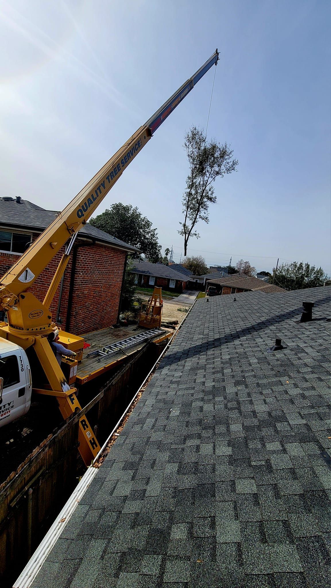 A yellow crane lifts a large tree over a residential rooftop on a sunny day.