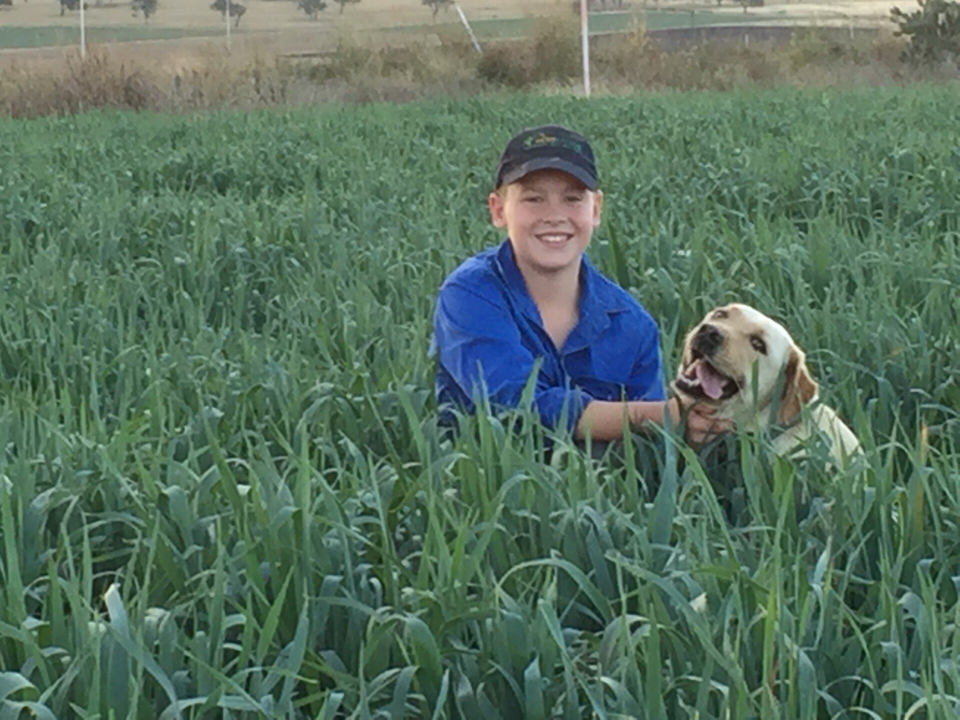About Toowoomba Hay Farm