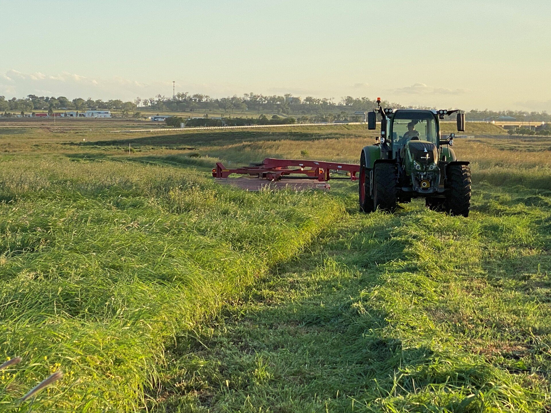 About Toowoomba Hay Farm