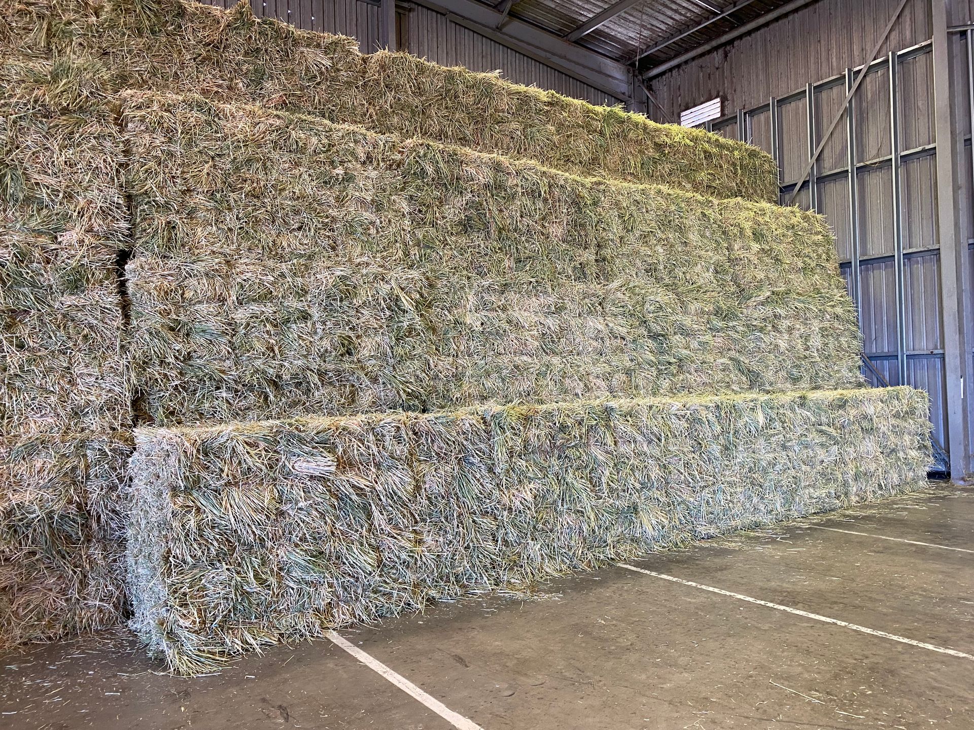 Barley Hay Baron Packs For Sale