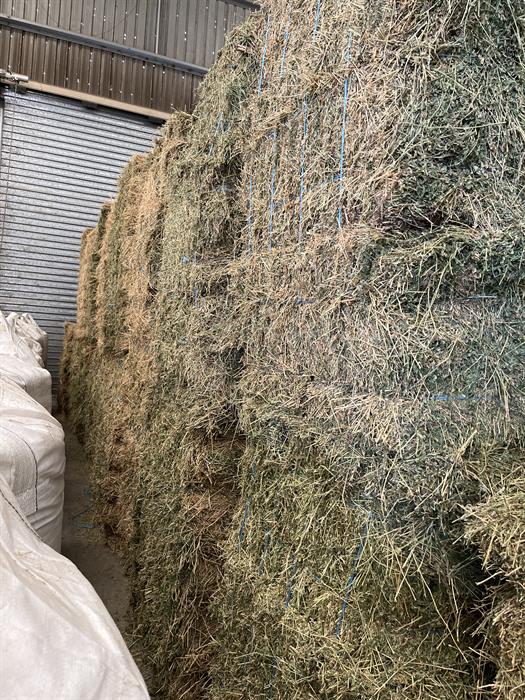 Lucerne Hay For Sale