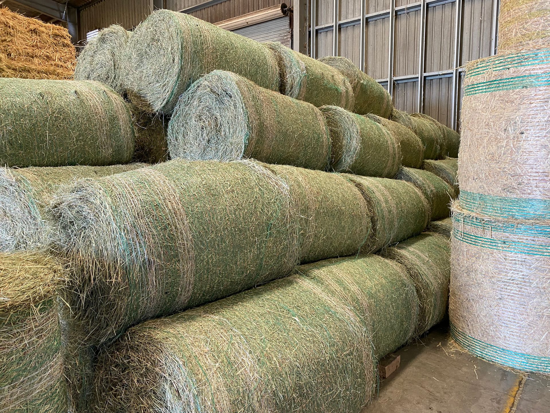 Rhodes Grass Hay Round Bales For Sale