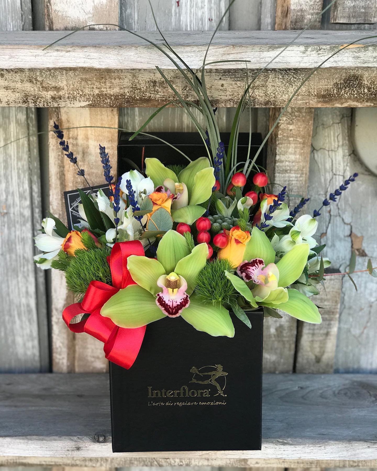 Box con orchidee