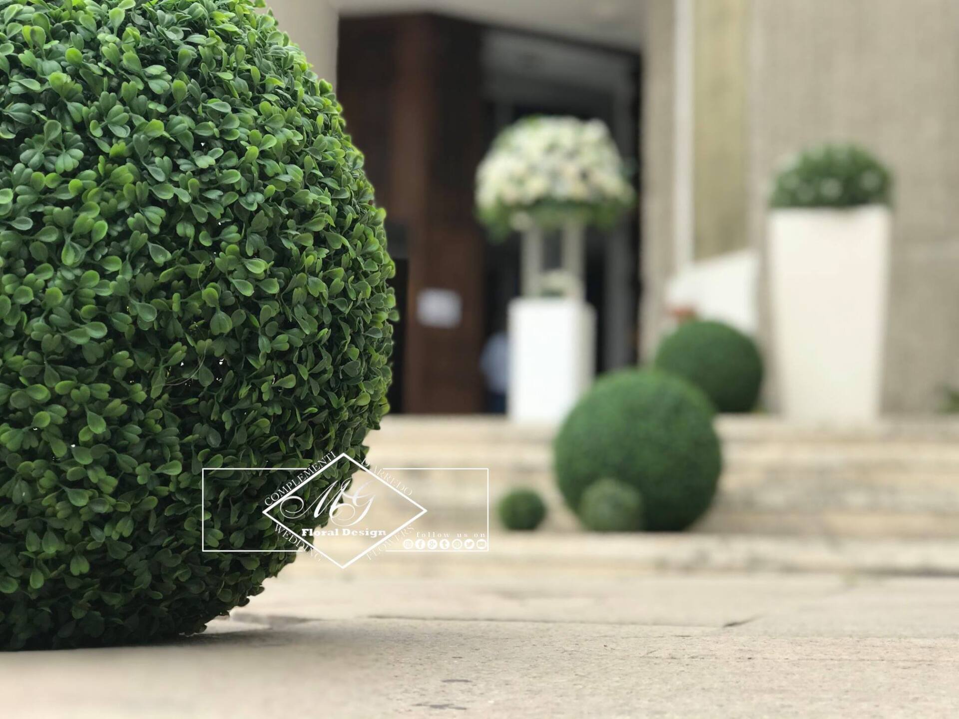 Decorazione con piante