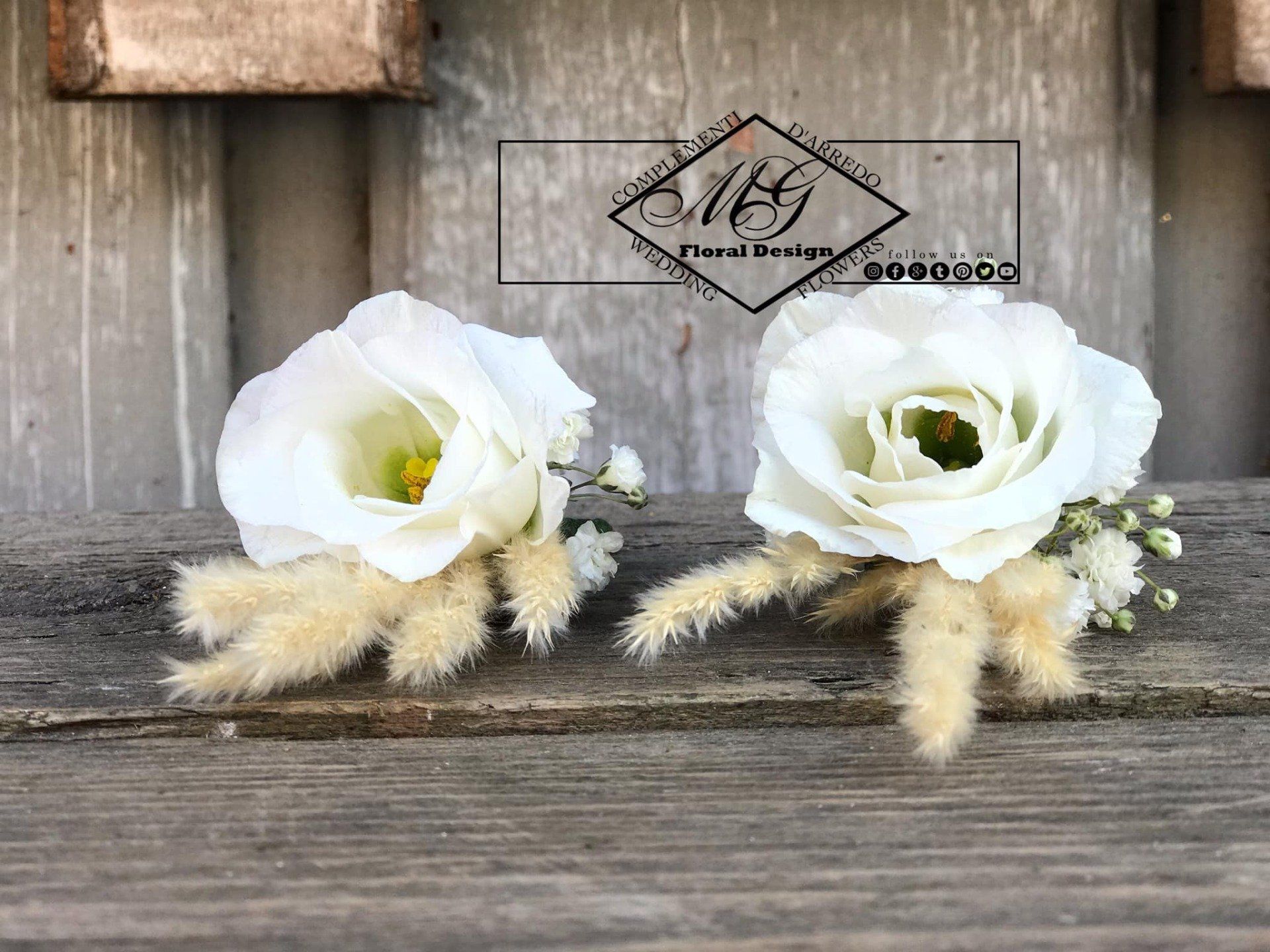 Fiori bianchi
