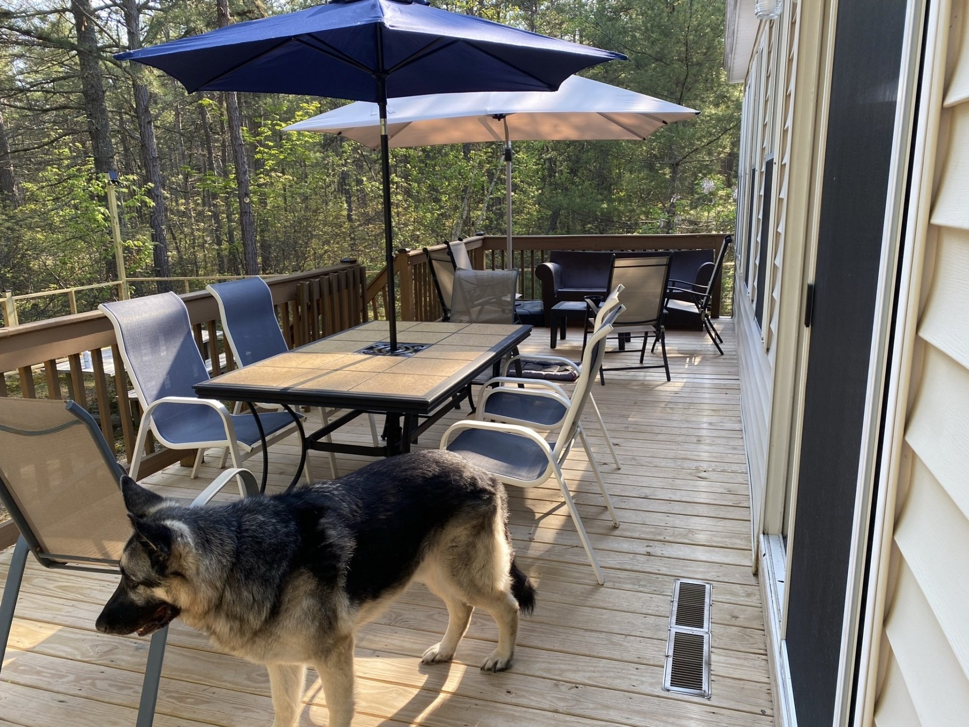 Ruffhouse Rentals, Dog Friendly Vacation Rentals in NH