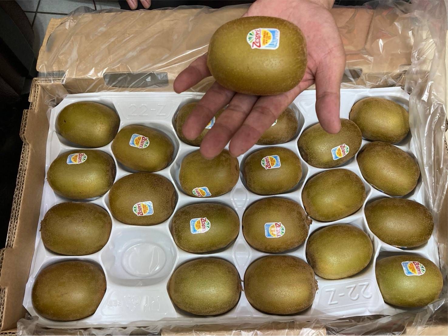 黃金奇異果22顆一箱/原封箱