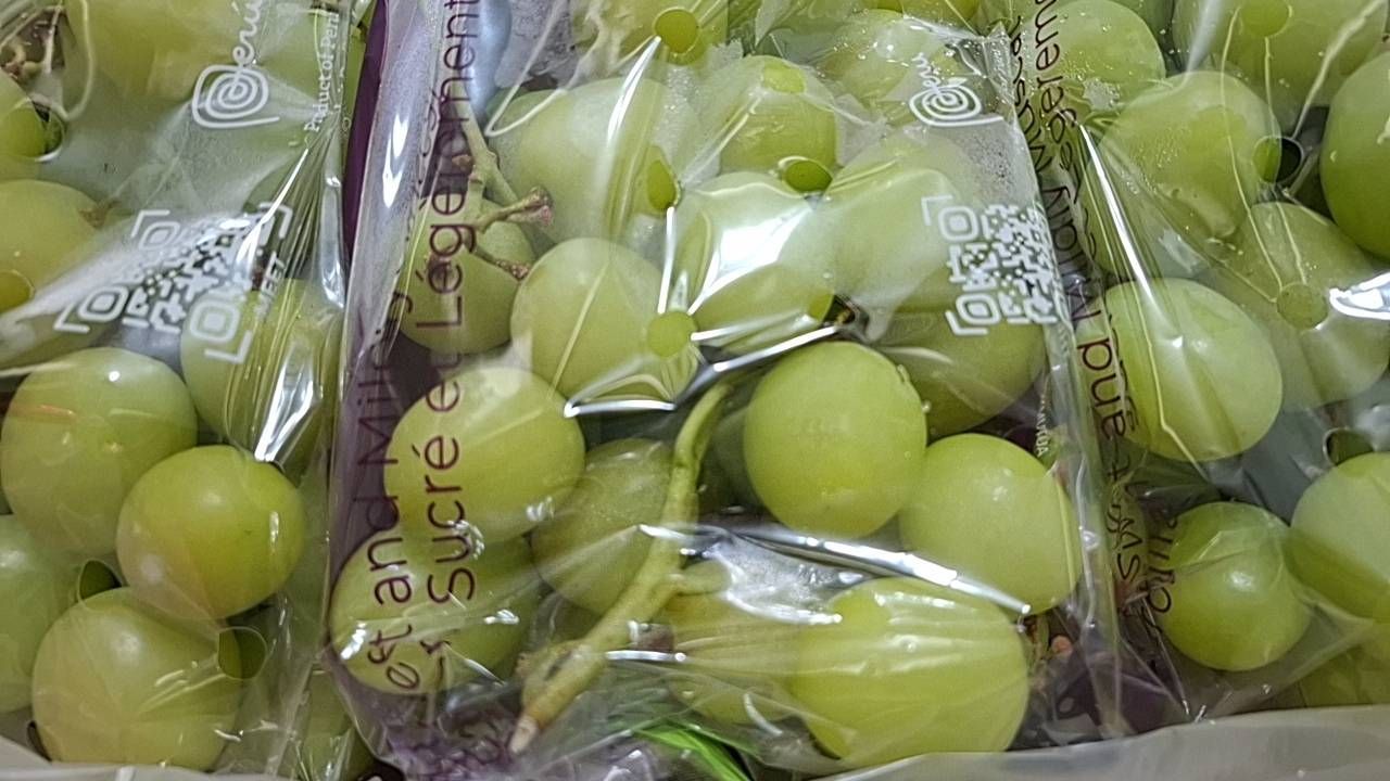 秘魯/秋翠綠無子葡萄/禮盒裝/2房組