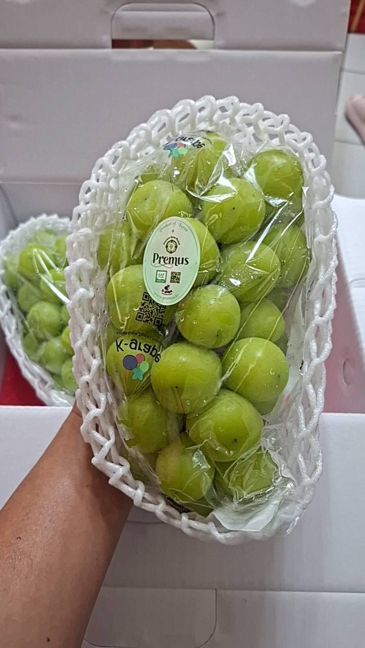 麝香葡萄2房/2盒特價/禮盒裝