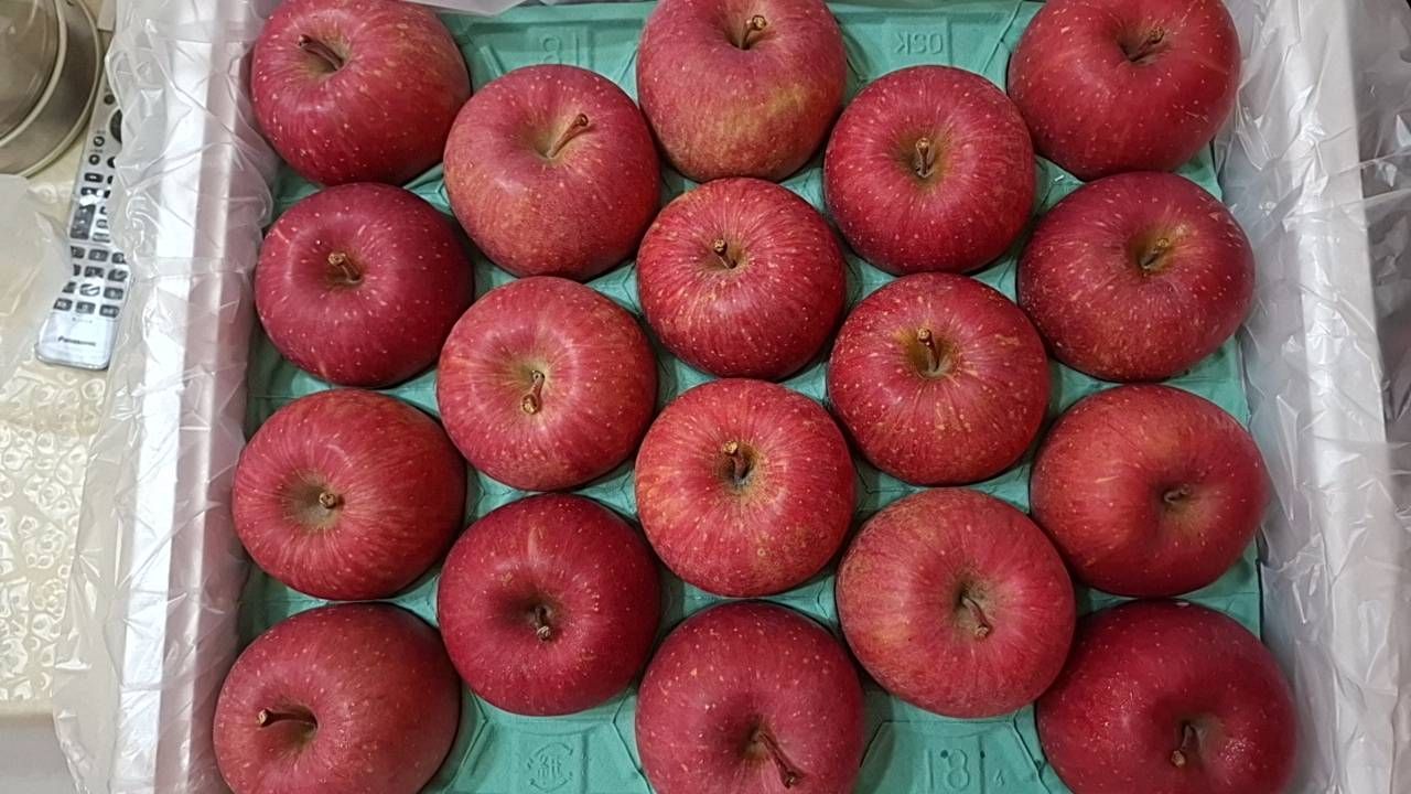 青森蜜蘋果 18粒