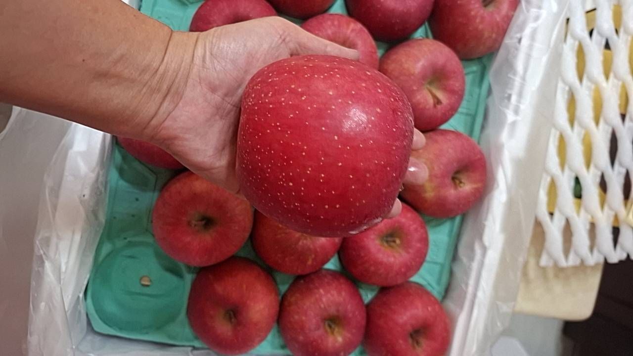 青森蜜蘋果 18粒