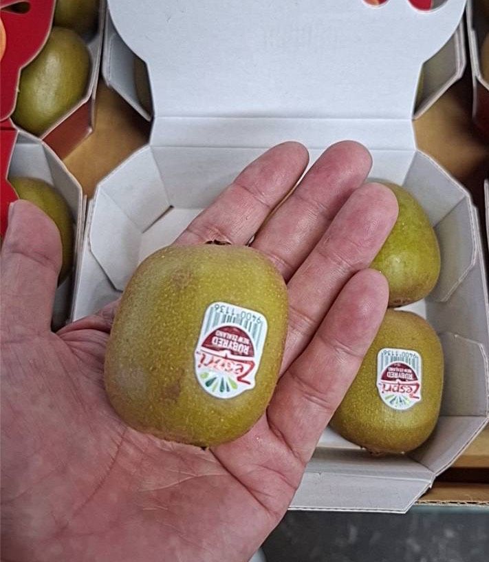 紐西蘭/寶石紅奇異果一箱6小盒/原封箱