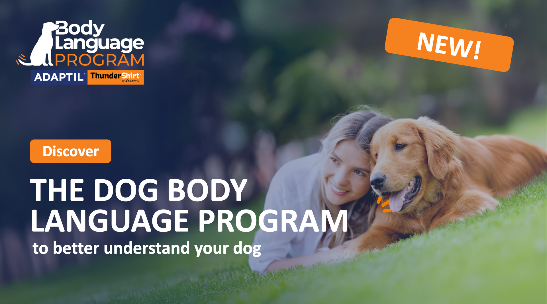 the dog body language program