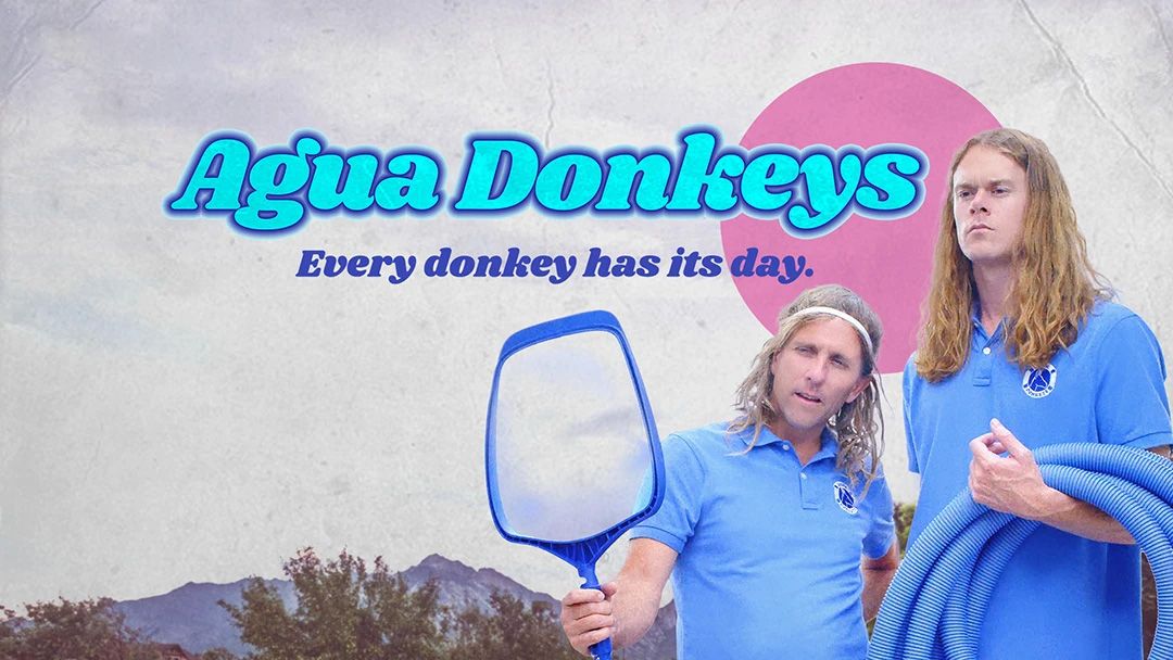 Agua Donkeys