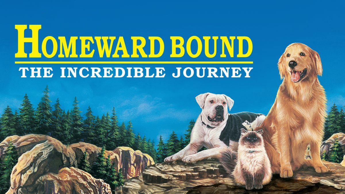 Homeward Bound The Incredible Journey